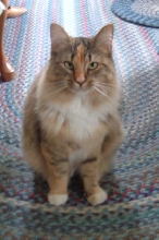 Molly